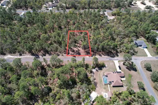 3616 W Fountain Lane, Citrus Springs, FL 34433