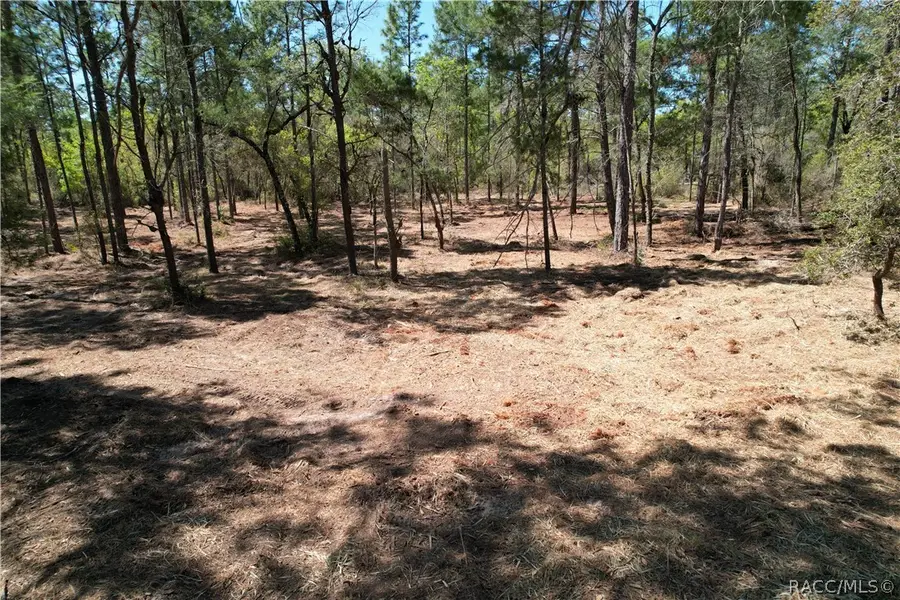 3616 W Fountain Lane, Citrus Springs, FL 34433 - #2