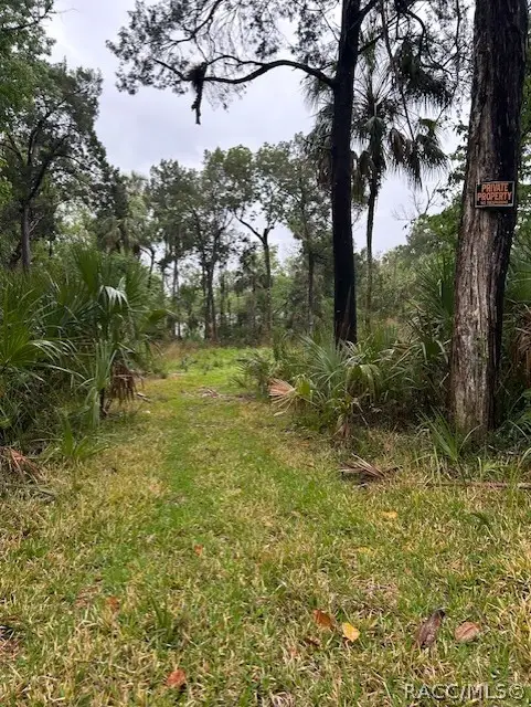 11070 W Bareto Lane, Homosassa, FL 34448 - #2