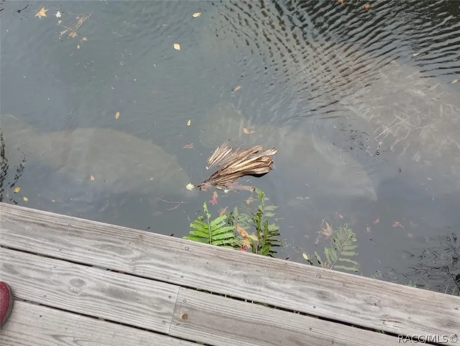 8491 W Drew Court, Homosassa, FL 34448 - #3