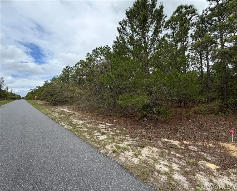 4231 W Bonanza Drive, Beverly Hills, FL 34465 - #2