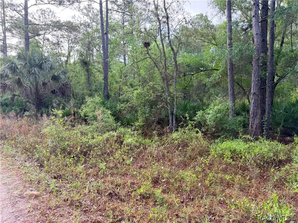 7494 W Nadel Drive, Crystal River, FL 34428 - #1