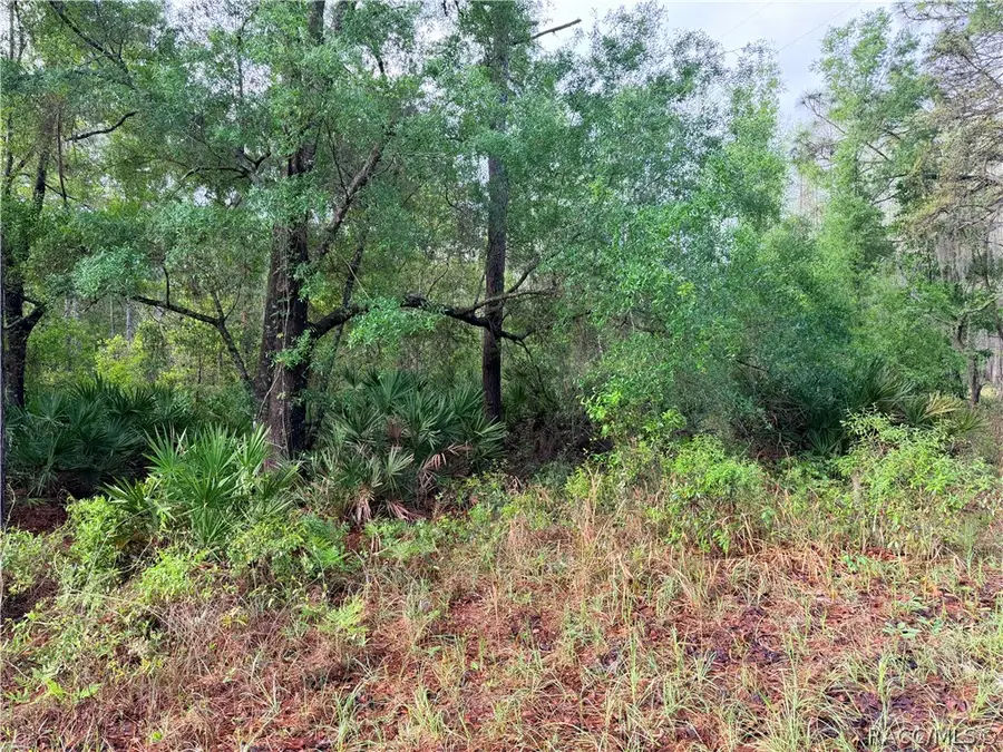 7494 W Nadel Drive, Crystal River, FL 34428 - #2