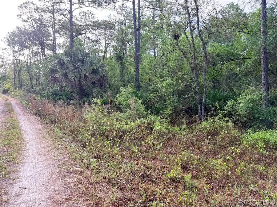 7494 W Nadel Drive, Crystal River, FL 34428 - #3