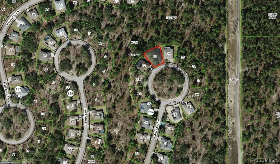 19 Dahlia Court N, Homosassa, FL 34446 - #2