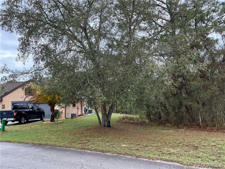 19 Dahlia Court N, Homosassa, FL 34446 - #3