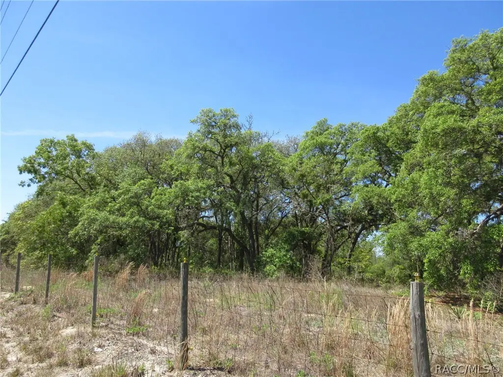 5439 W Oakhill Street, Dunnellon, FL 34433 - #1