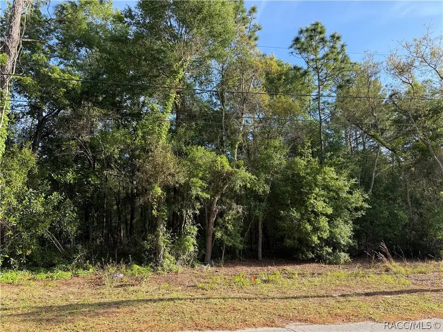 3259 E Glenn Street, Inverness, FL 34453 - #3