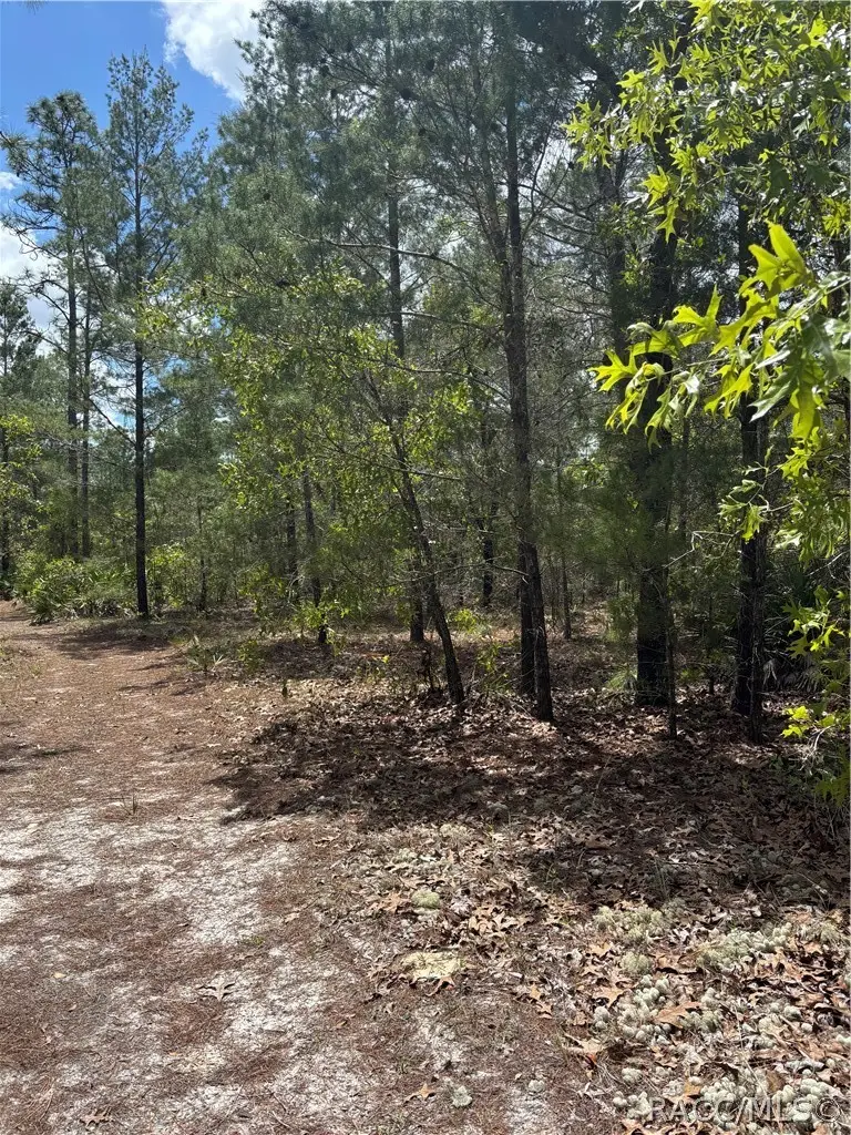 6520 N Redmond Court, Dunnellon, FL 34433 - #2