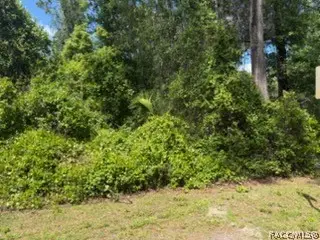 6475 E Seneca Street, Inverness, FL 34452 - #3