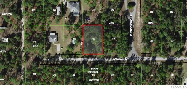 6185 W Caruso Court, Dunnellon, FL 34433