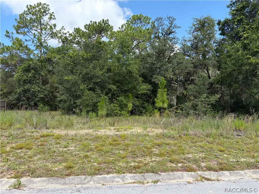 1133 Rutgers Terrace, Inverness, FL 34452 - #3