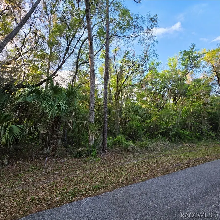 558 NE 13th Terrace, Crystal River, FL 34428 - #2