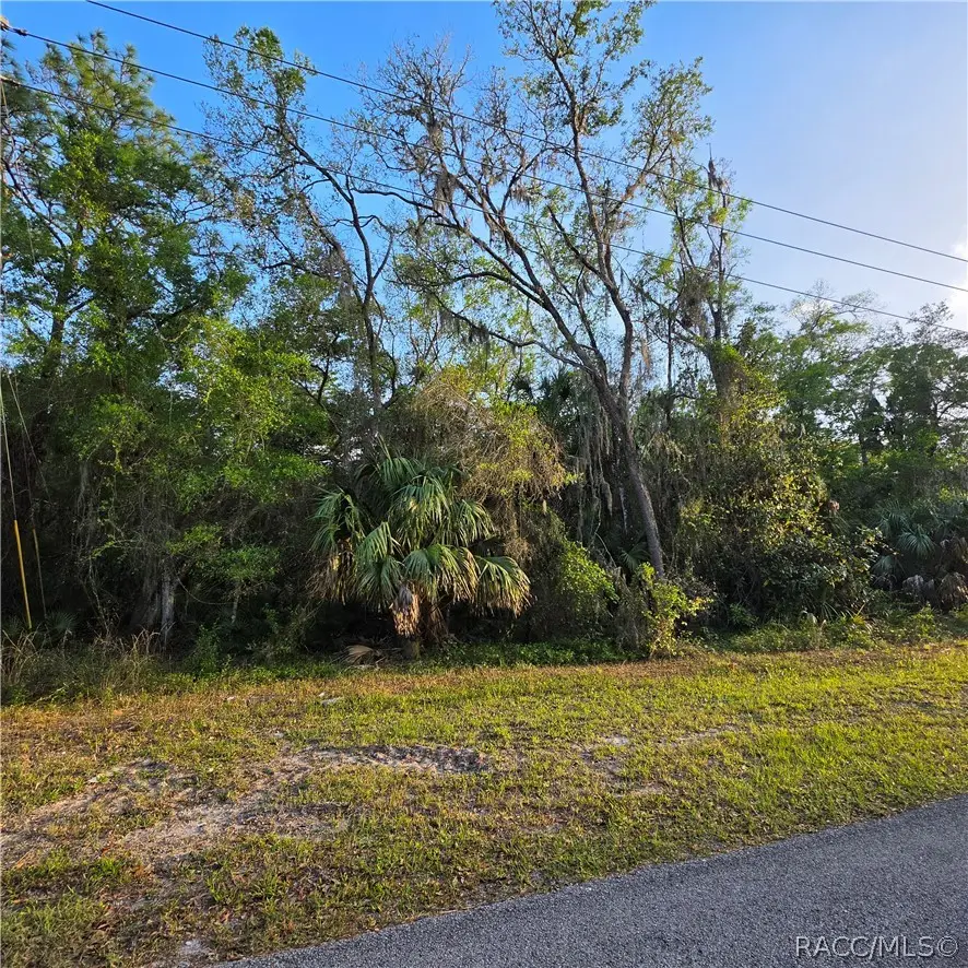 558 NE 13th Terrace, Crystal River, FL 34428 - #3