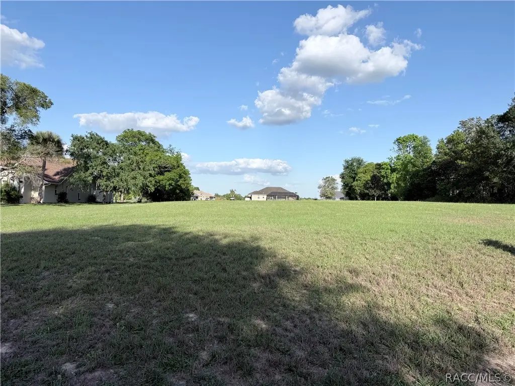 1471 N Man O War Drive, Hernando, FL 34442 - #1