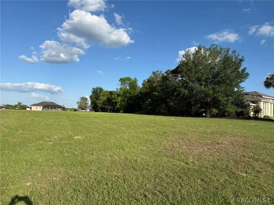 1471 N Man O War Drive, Hernando, FL 34442 - #3