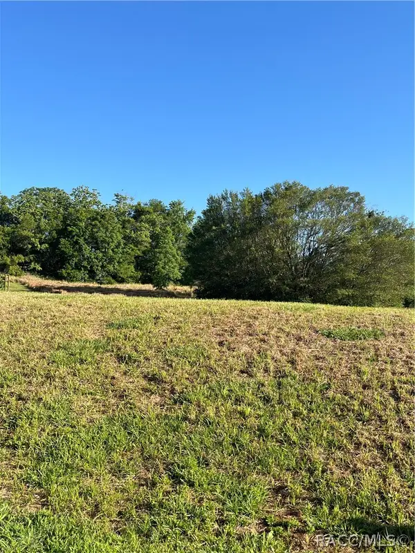 1237 W Buttonbush Drive, Beverly Hills, FL 34465