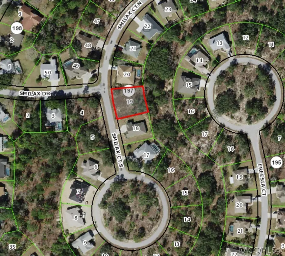 2 Smilax Court S, Homosassa, FL 34446 - #1