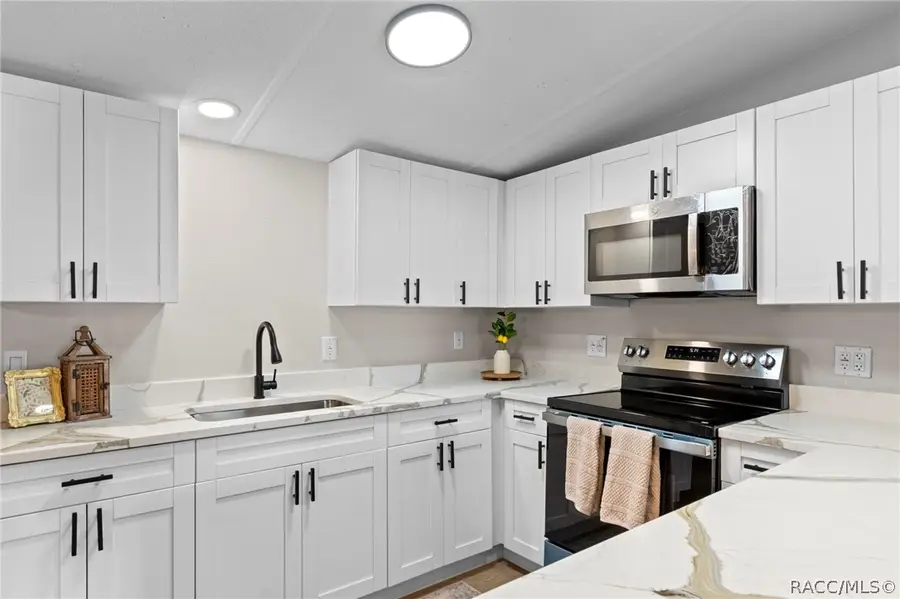 8017 E Skyline Lane, Floral City, FL 34436 - #3