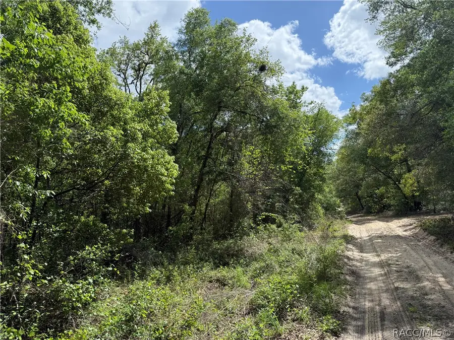 112 S Crestview Avenue, Inverness, FL 34452 - #2