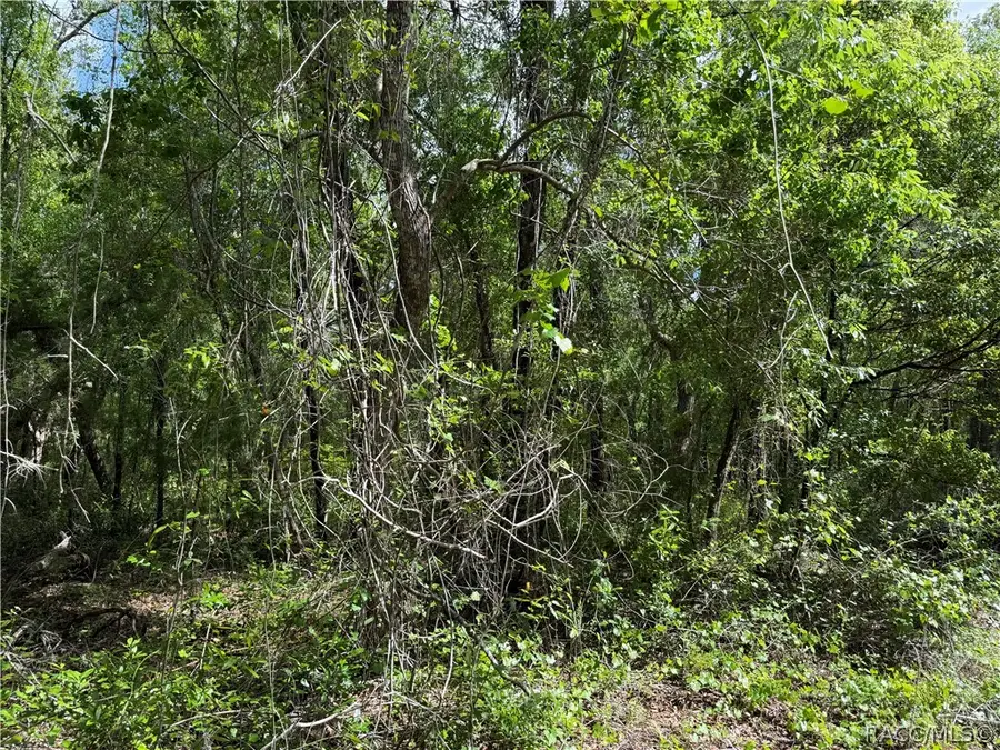 112 S Crestview Avenue, Inverness, FL 34452 - #3