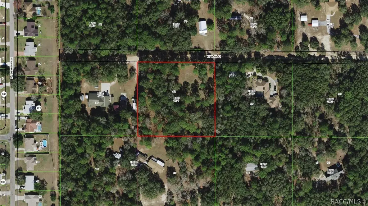 94 E Pilar Street, Hernando, FL 34442 - #1