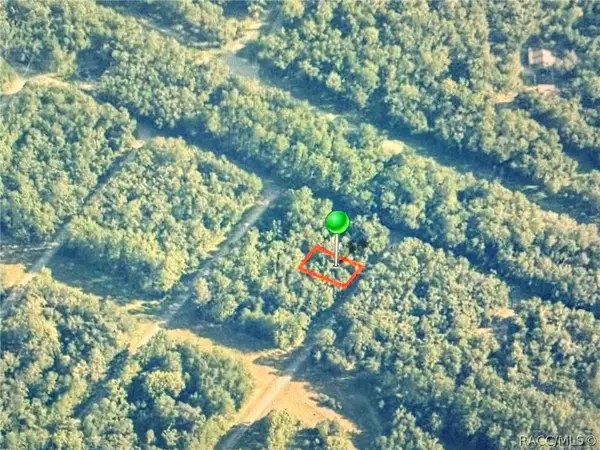 775 E Elgrove Drive, Citrus Springs, FL 34434