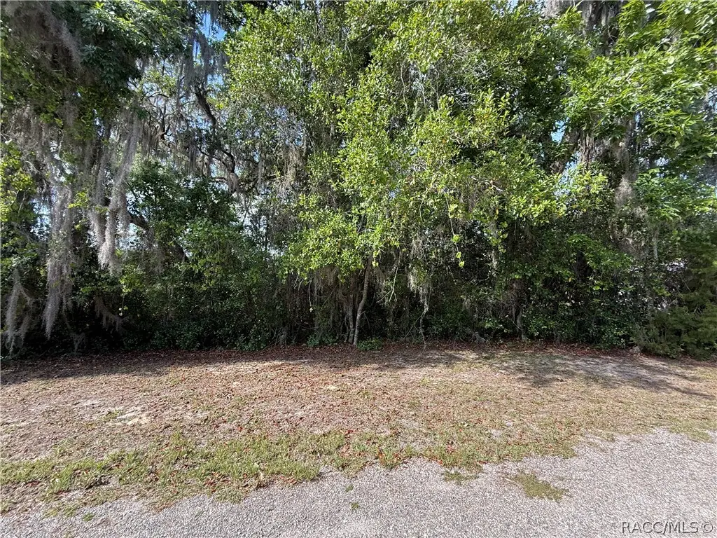 6979 E Grass Court, Inverness, FL 34453 - #1