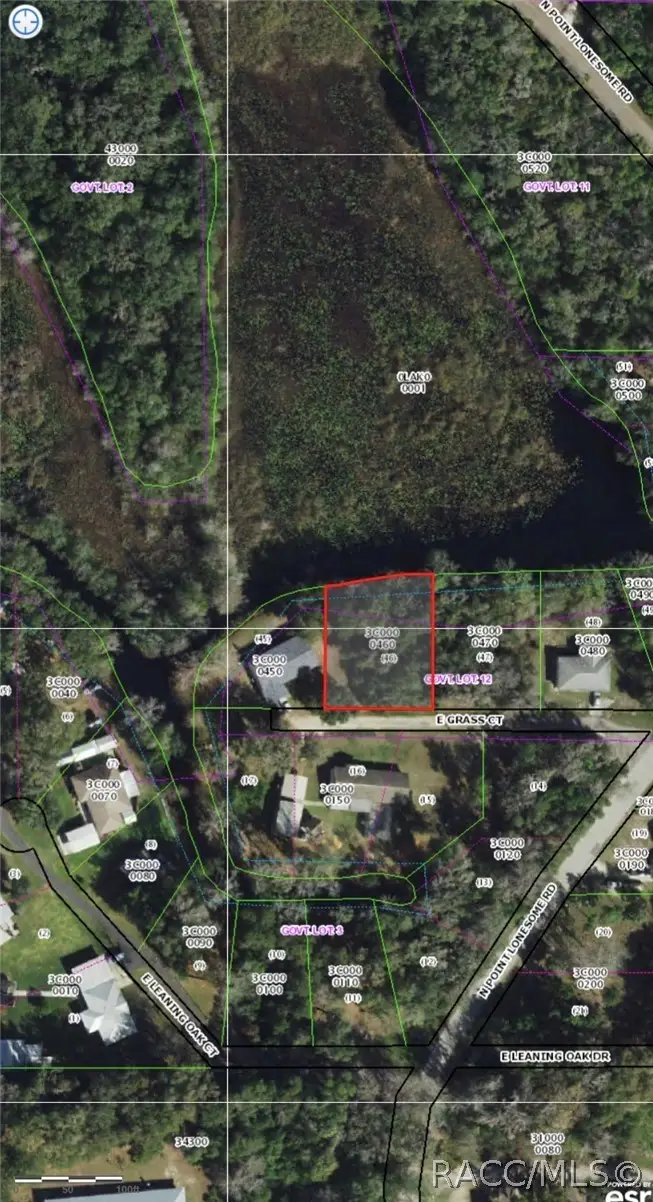 6979 E Grass Court, Inverness, FL 34453 - #3