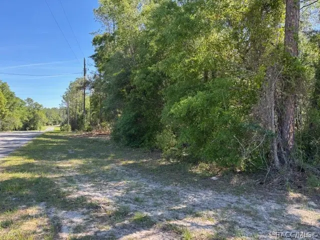 10251 N Adler Drive, Citrus Springs, FL 34434 - #2