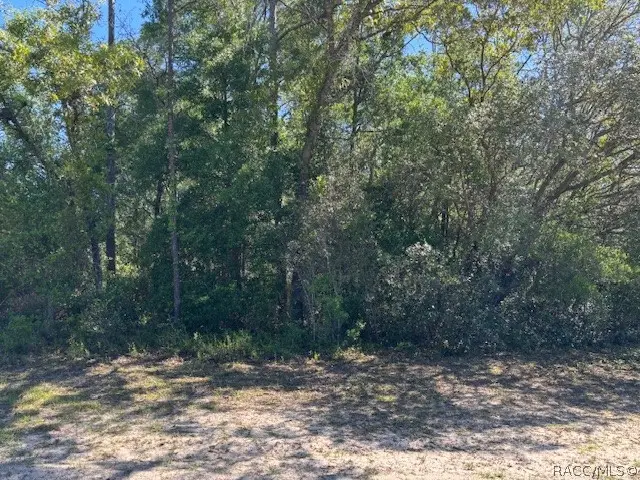 10251 N Adler Drive, Citrus Springs, FL 34434 - #3