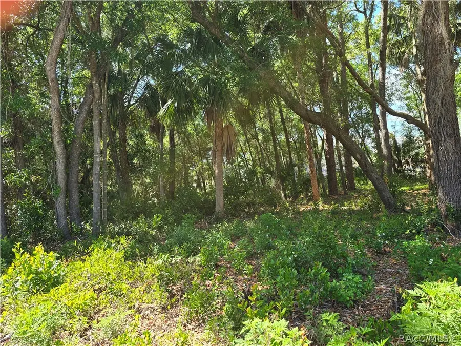 7075 W Crestview Lane, Crystal River, FL 34429 - #2