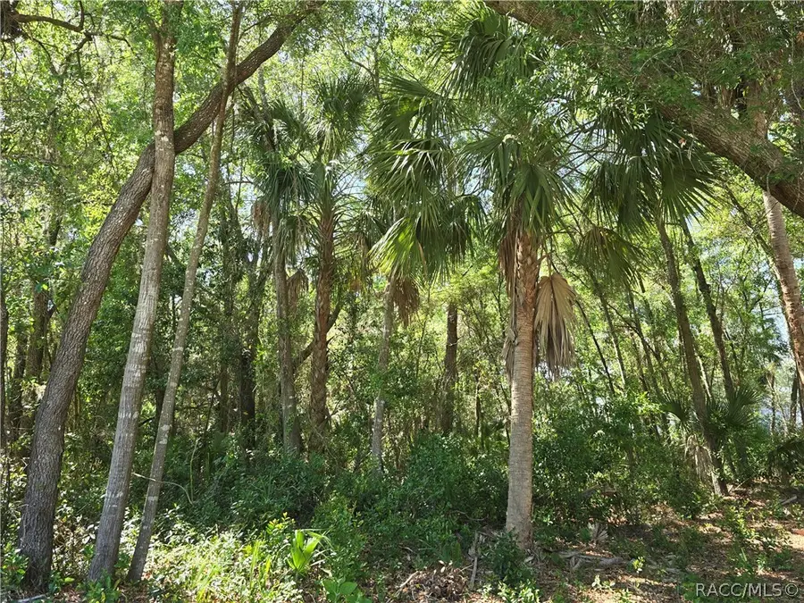 7075 W Crestview Lane, Crystal River, FL 34429 - #3