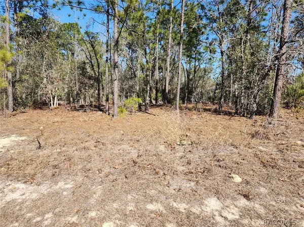 1037 W Almont Place, Other, FL 34434