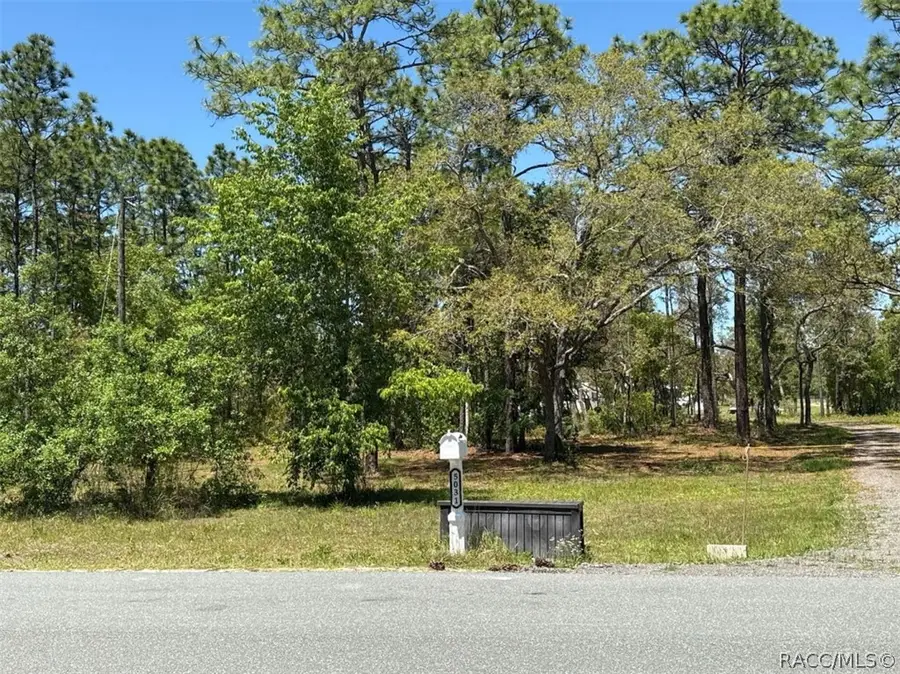 5032 W Field Street, Homosassa, FL 34446 - #2