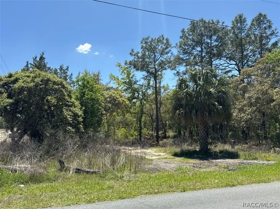 5032 W Field Street, Homosassa, FL 34446 - #3