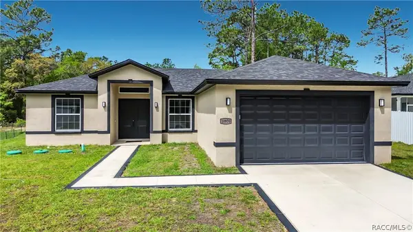 10970 N Dragonis Drive, Dunnellon, FL 34433