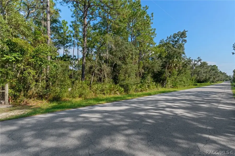 2733 S Bolton Avenue, Homosassa, FL 34448 - #2