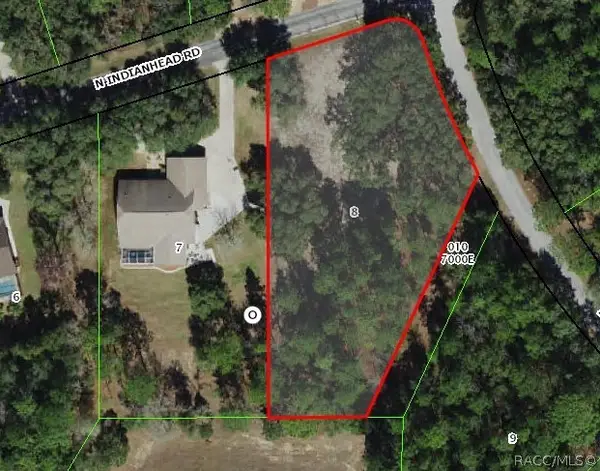 3817 N Indianhead Road, Hernando, FL 34442
