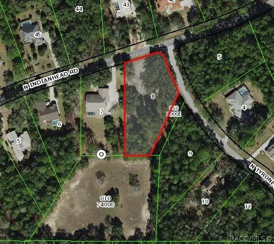 3817 N Indianhead Road, Hernando, FL 34442 - #2