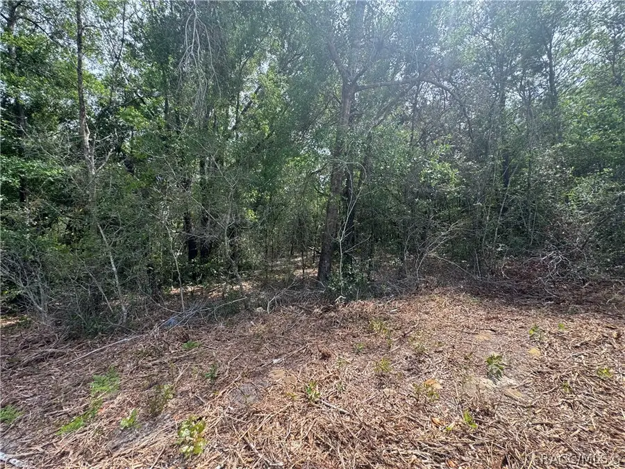 2493 W Magenta Drive, Dunnellon, FL 34434 - #2