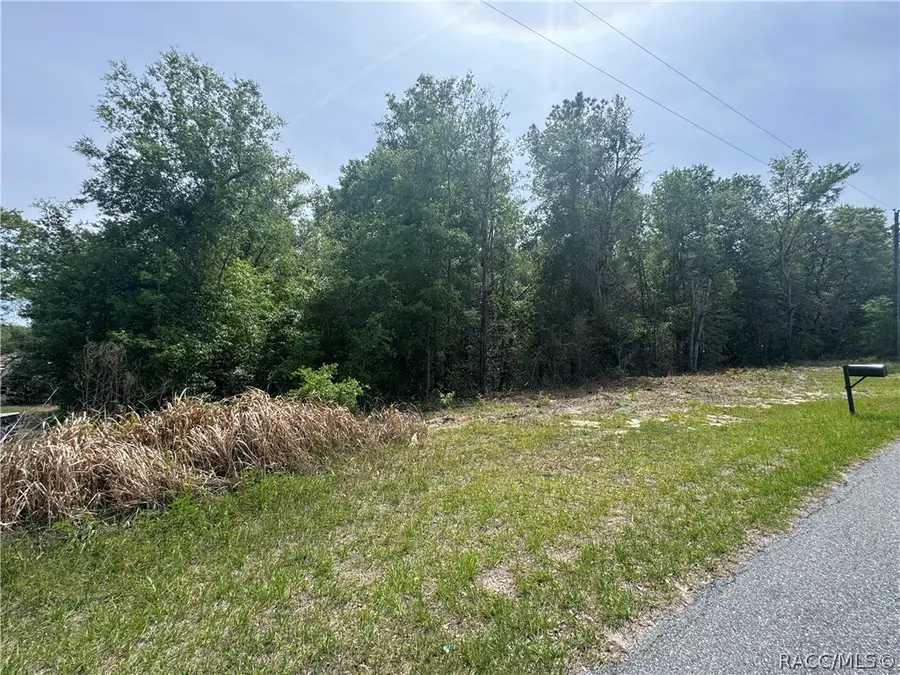 2493 W Magenta Drive, Dunnellon, FL 34434 - #3