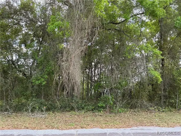 1656 W Beach Plum Drive, Citrus Springs, FL 34434