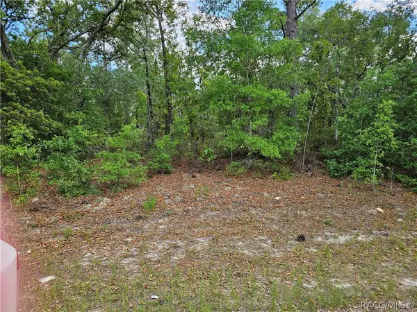 1681 W Skyline Drive, Dunnellon, FL 34434