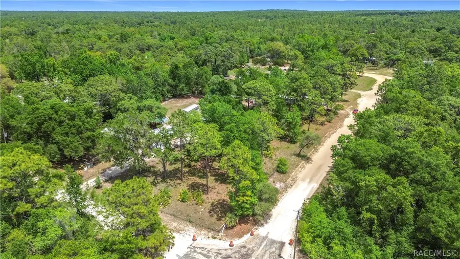 3065 N Amphibian Point, Crystal River, FL 34428 - #2