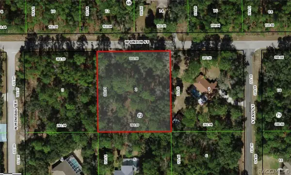 1312 W Union Street, Hernando, FL 34465
