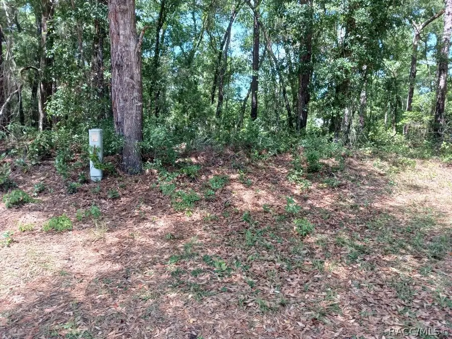 917 Birch Avenue, Inverness, FL 34452 - #2