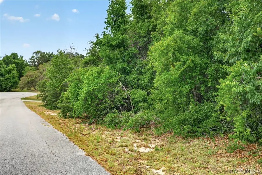 1642 S Valerie Point, Inverness, FL 34452 - #2