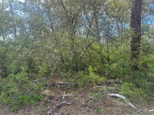 Lot 6 SW 170th Place, Other, FL 34473