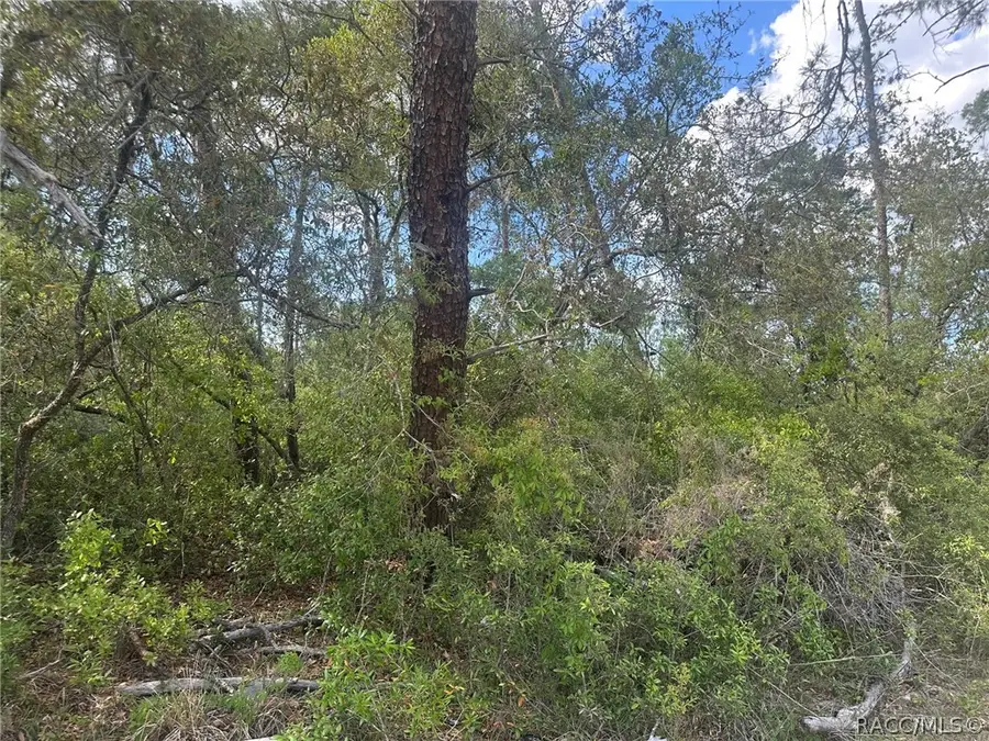 Lot 6 SW 170th Place, Marion Oaks, FL 34473 - #3